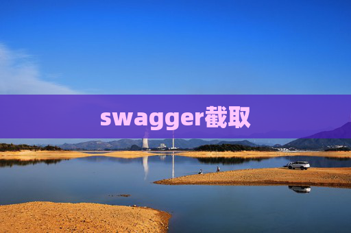 swagger截取